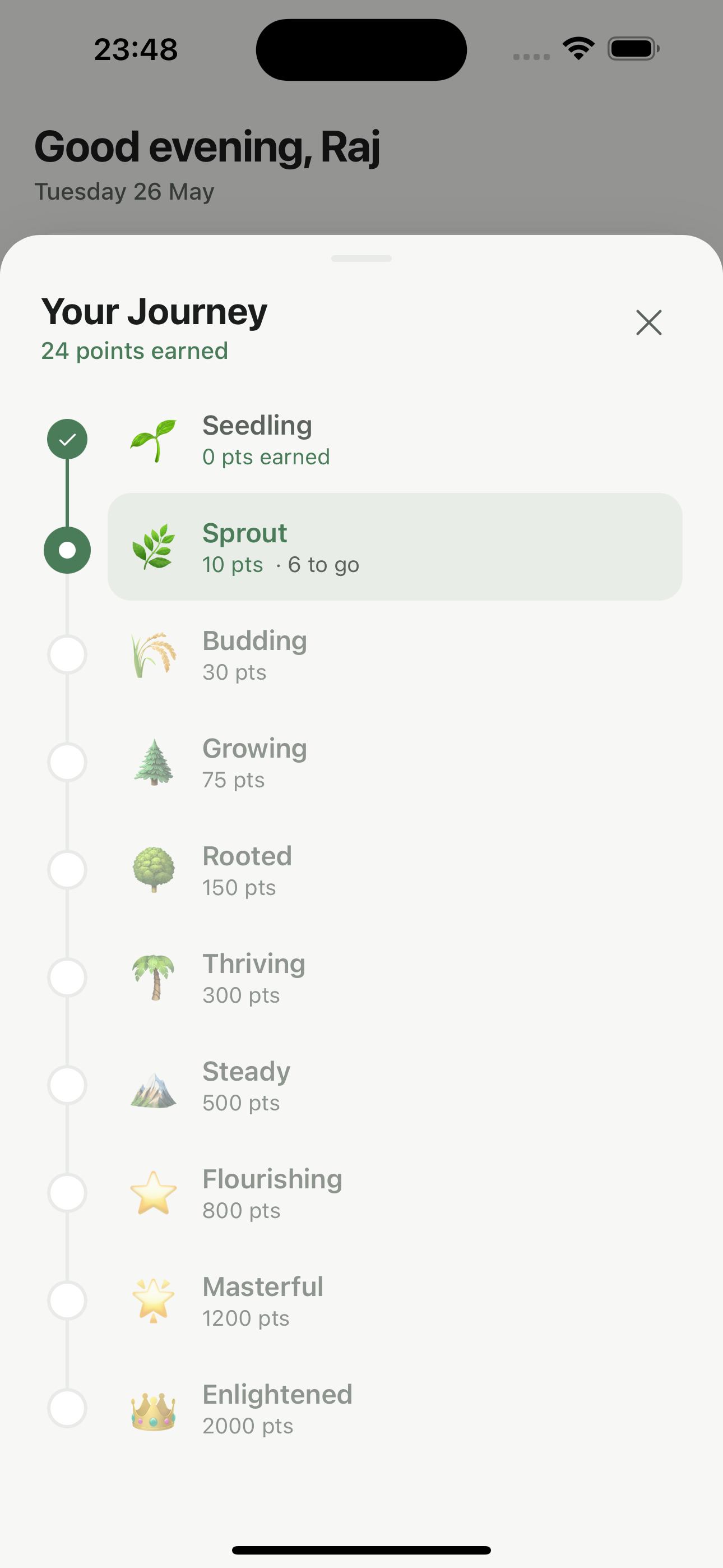 Level journey timeline showing progress